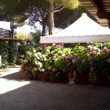 Ampio Lacona Isola D'elba דירה קאפוליברי