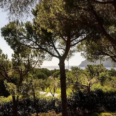 Ampio Lacona Isola D'elba קאפוליברי